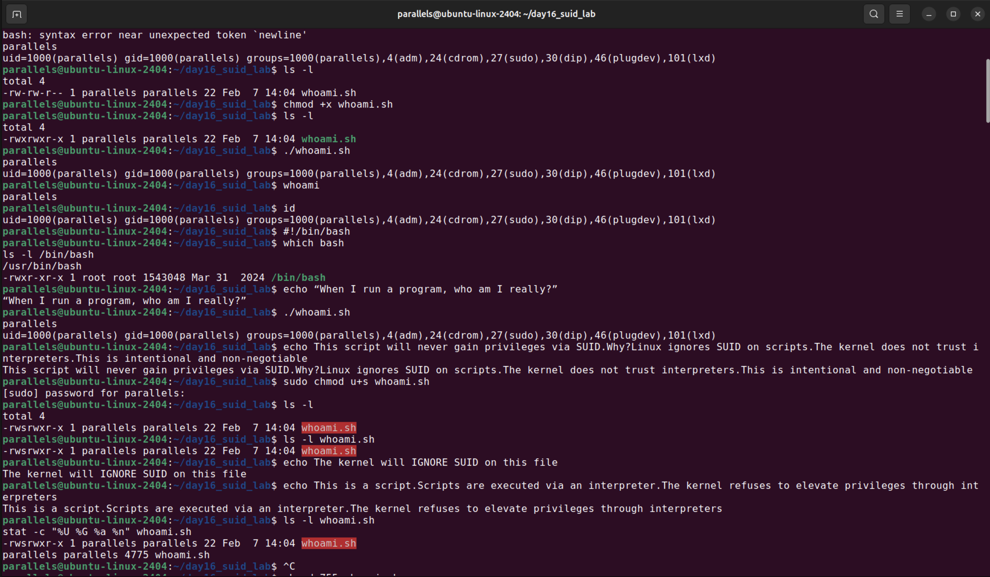suid_binary_execution_ver